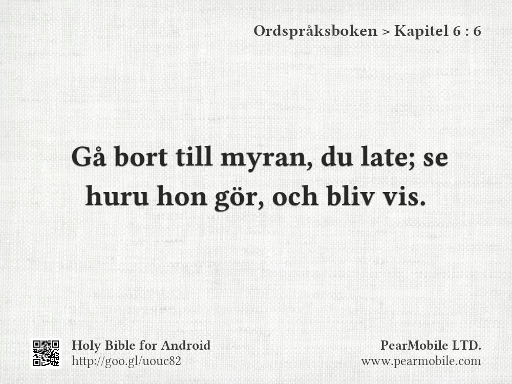 Ordspråksboken, Kapitel 6:6